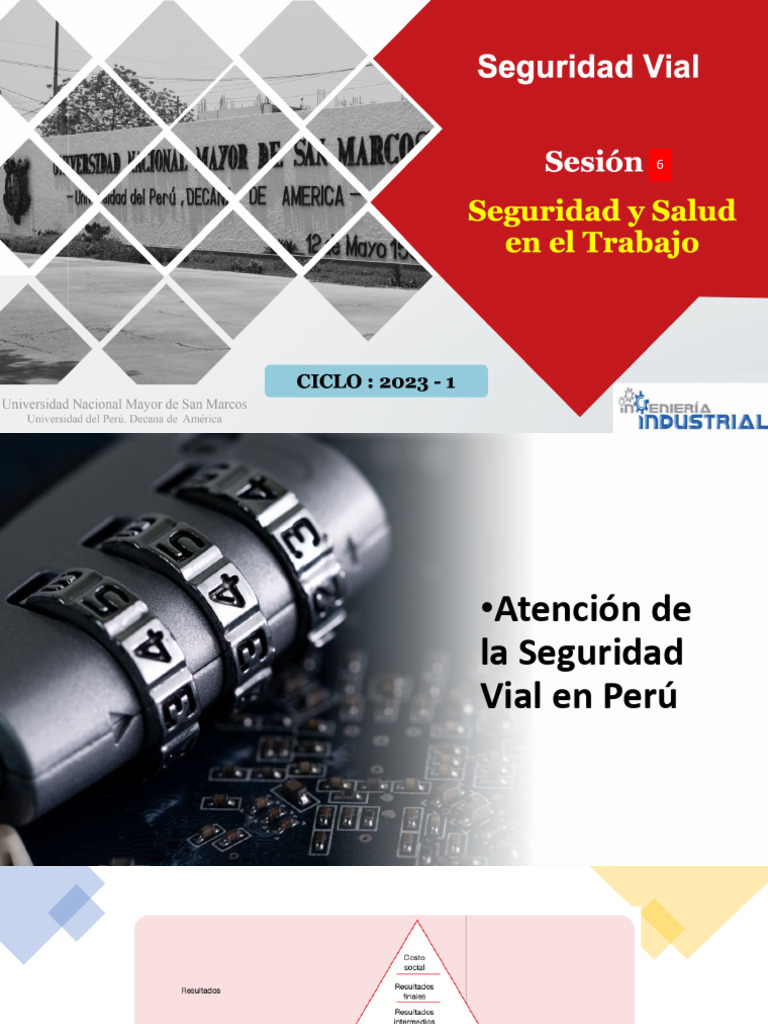 Propuesta para Mejora de Seguridad Vial en Perú | PDF | Negocios