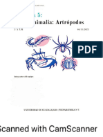 Práctica Biología II antropodos