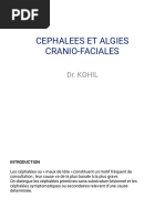 Triptans : Utilisation et Mécanismes | PDF | Migraine