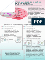 Neurotransmisión