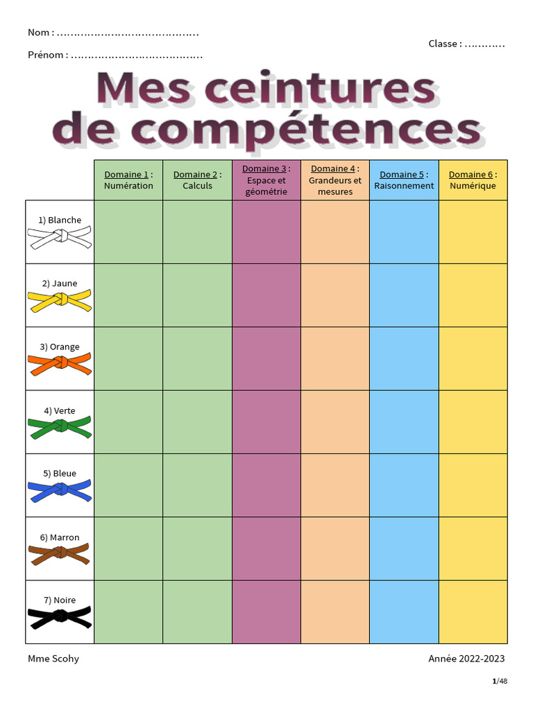 Ceintures de compétences en maths | PDF | Programmation informatique ...