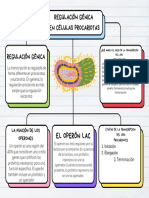 Mapa Conceptual Esquema Doodle Infantil Multicolor