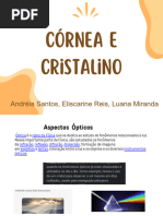 Trabalho Completo - PPTX - 20231212 - 182515 - 0000