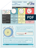 Infografía de Soluciones y Coloides