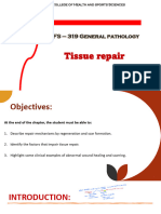 5.tissue Repair