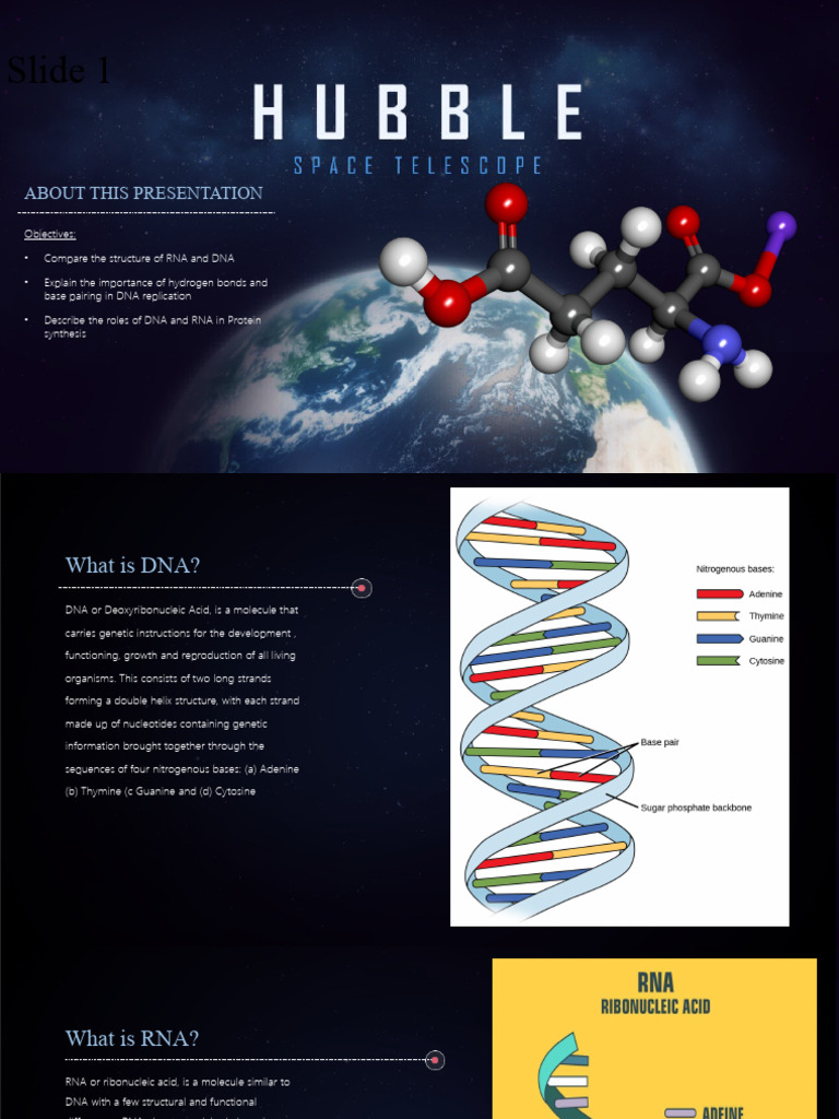 DNA and RNA: Structure and Functions | PDF | Rna | Dna