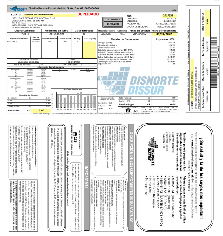 Factura de Disnorte-Dissur Estelí | PDF | Energia electrica | Electricidad