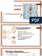 Sistema Nervioso Autónomo