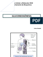 GluconeogénesisVia de Las Pentosas 2018