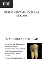 Mandibular Molar Anatomy Overview | PDF | Dental Anatomy | Dentistry ...
