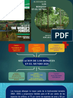 Situacion de Los Bosques Del Mundo 2020