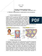 S7P2 - Tireoide