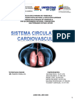 Sistema Circulatorio