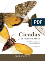 非洲南部的蝉 Cicada of Southern Africa