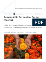 Cempasúchil, Flor de Vida, Flor de Muertos - Secretaría de Agricultura y Desarrollo Rural - Gobierno - Gob - MX