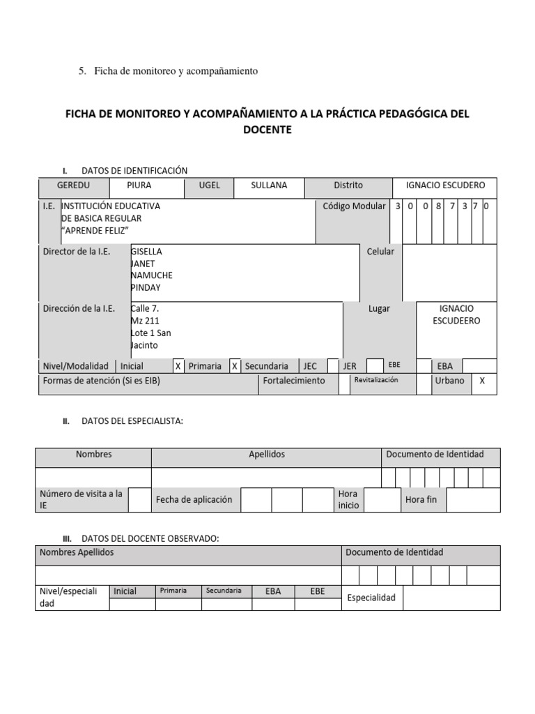 Ficha de Monitoreo Docente 2025 | PDF | Evaluación | Maestros