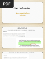 Citas y Referencias