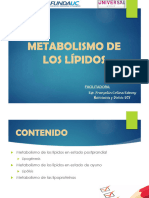 Módulo III. Metabolismo de Los Lípidos.
