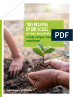 Tree Planting by Businesses