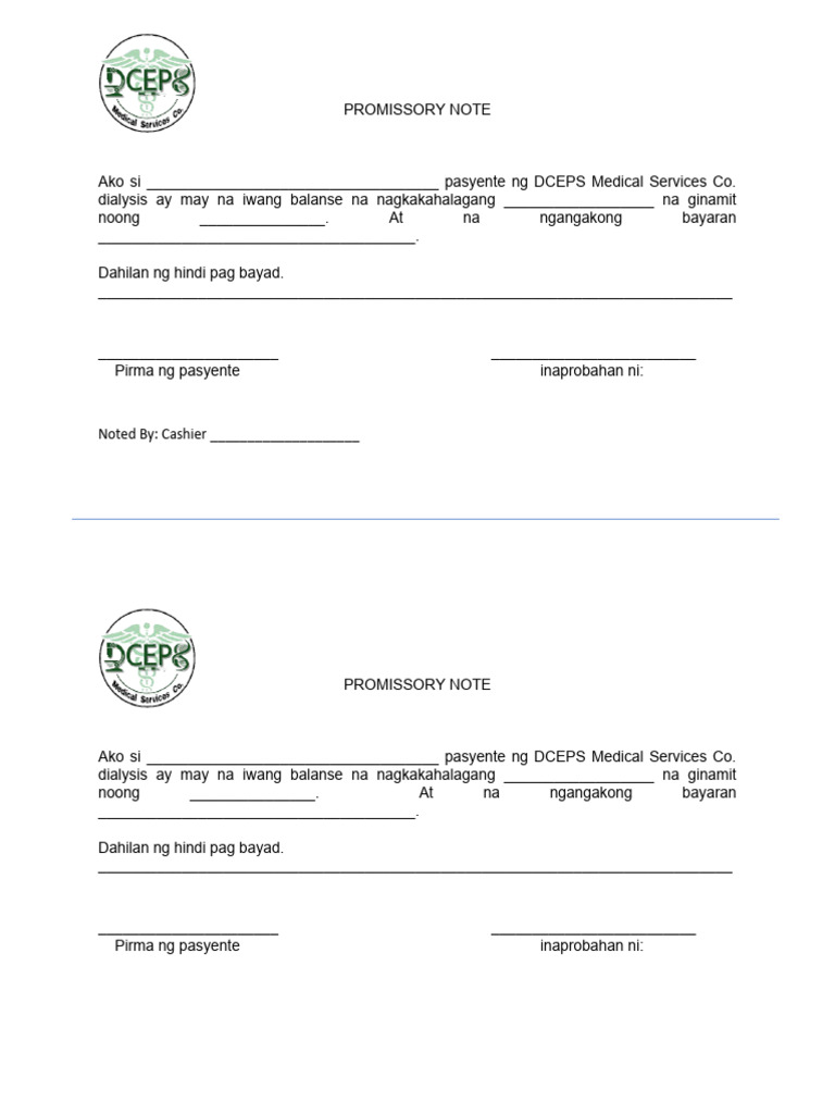 Promisory Note | PDF