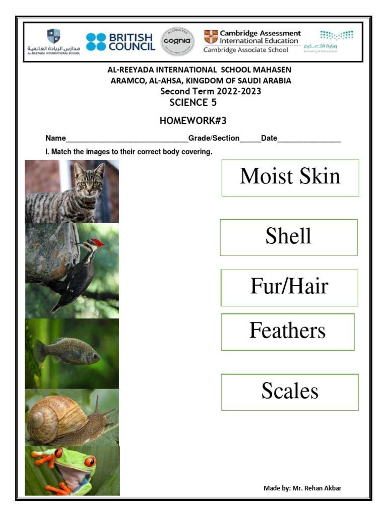 Grade 5 Live Worksheet HW 3 | PDF