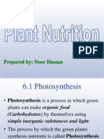 Topic # 6 Plant Nutrition