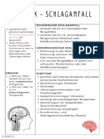 Pflegebiene Lernzettel Bundle 2023 Version 1.2 PDF