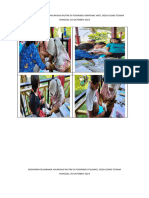 Foto Kegiatan Oktober Kegiatan Pelayanan Imunisasi Rutin Di Posyandu Bintang Hati