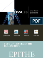 Tissues Summary