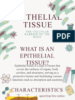 Epithelial Tissue