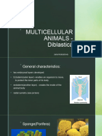 MULTICELLULAR ANIMALS - Diblastica Presentation