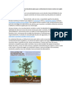 Plantas Canibais - Pesquisadores Descobrem Pínus Que Se Alimentam de Árvores Mortas em Região Dos Campos Gerais, No Paraná