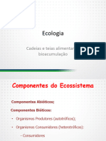 1.54 - Cadeias e Teias Alimentares Bioacumulaã Ã o