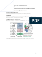 Neuropsicologia