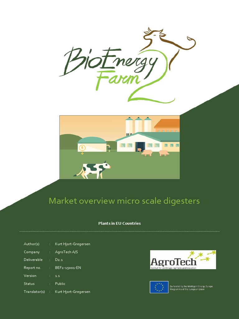 Micro-Scale Digesters - EN-Market-overview | PDF | Biogas | Anaerobic ...