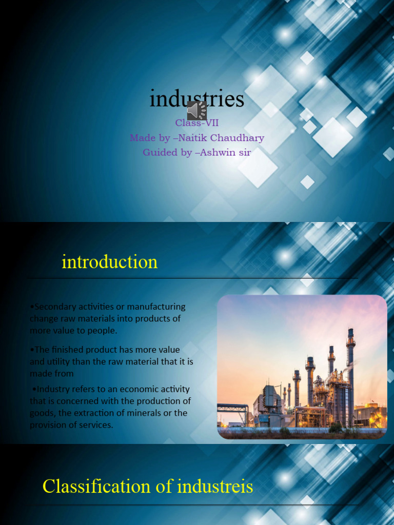 Industries | PDF | Raw Material | Secondary Sector Of The Economy