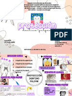 Proteccion Dentino Pulpar