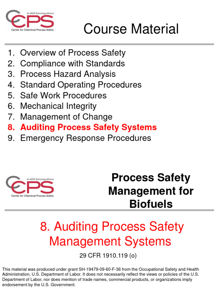 Auditing Process Safety Systems | PDF