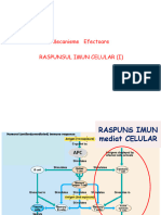 Ric Specific - 21