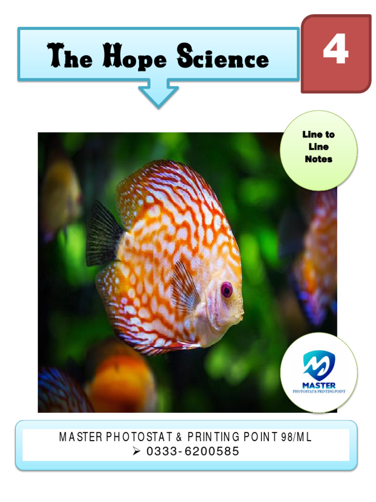 4th Science Notes The Hope | PDF | Ecosystem | Seed