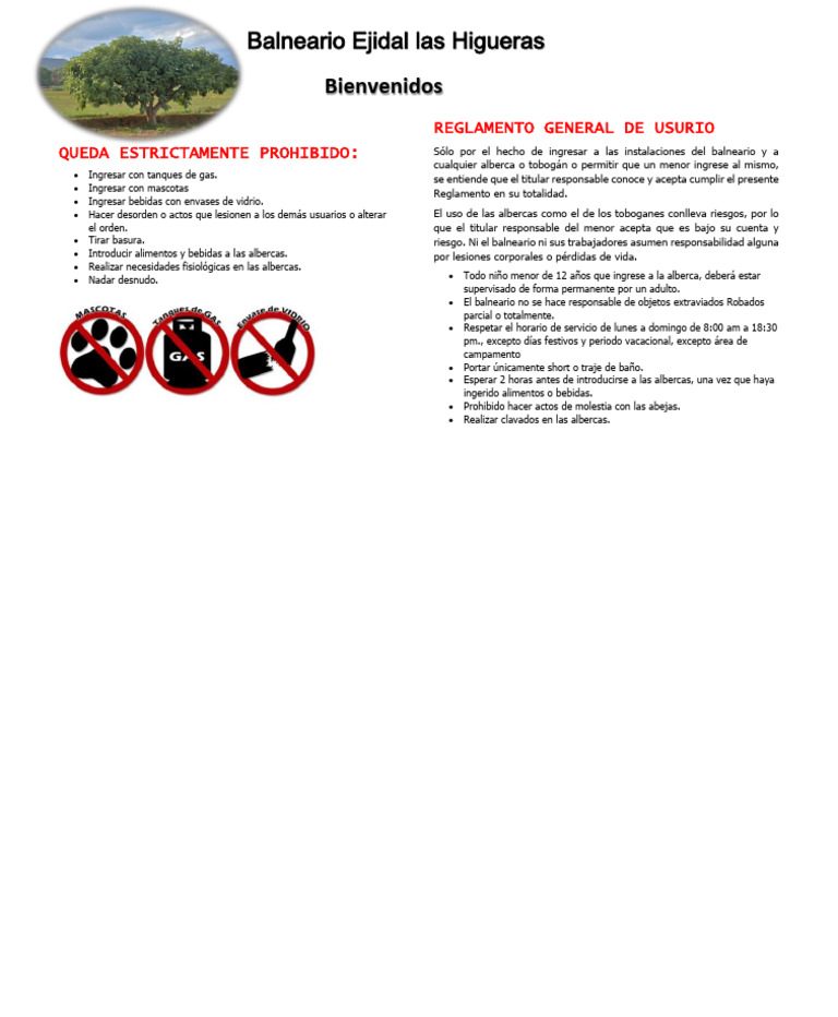 Reglamento 1 | PDF