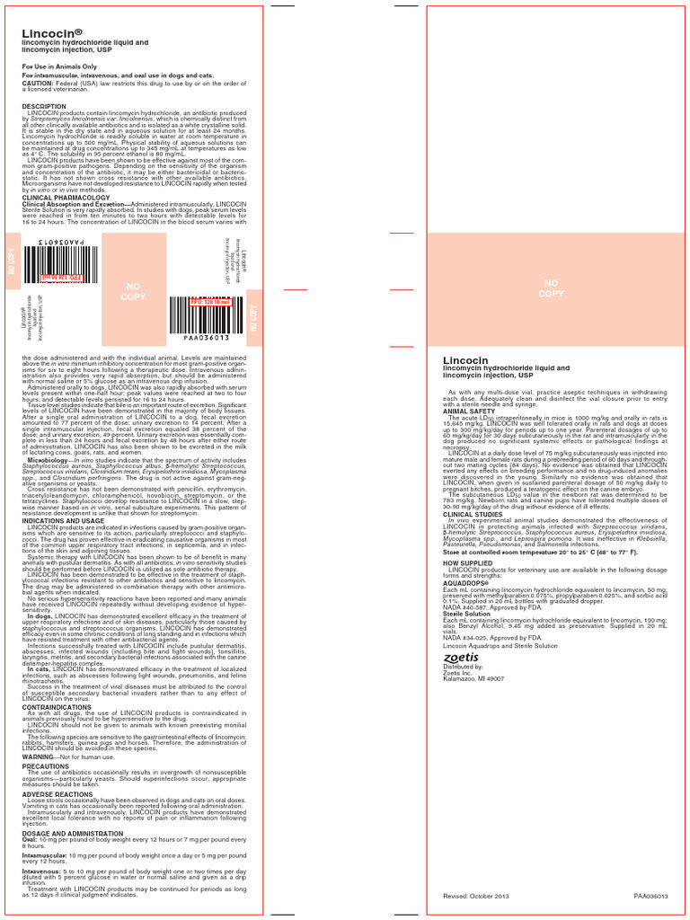 Lincocin | PDF | Intravenous Therapy | Injection (Medicine)