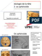 Os Sphénoide