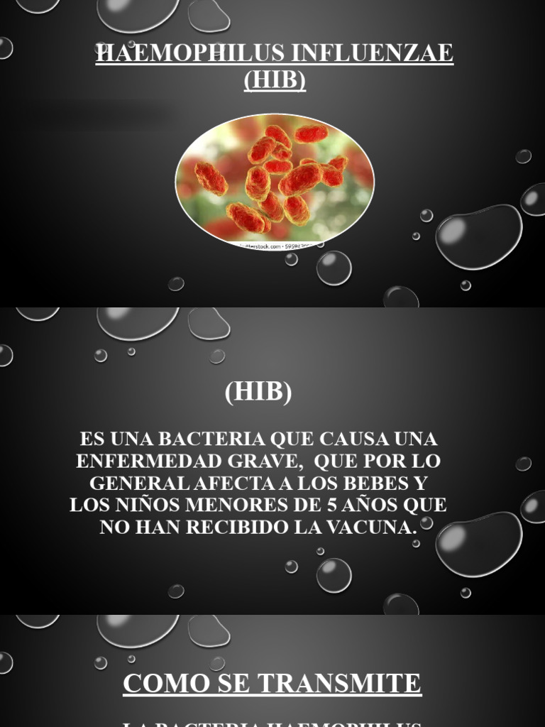 Infecciones por Haemophilus influenzae en Niños | PDF