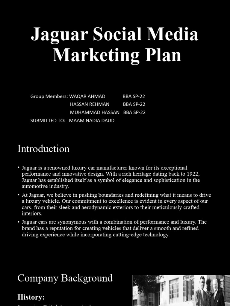 Jaguar Social Media Marketing Plan Pdf Brand Target Audience