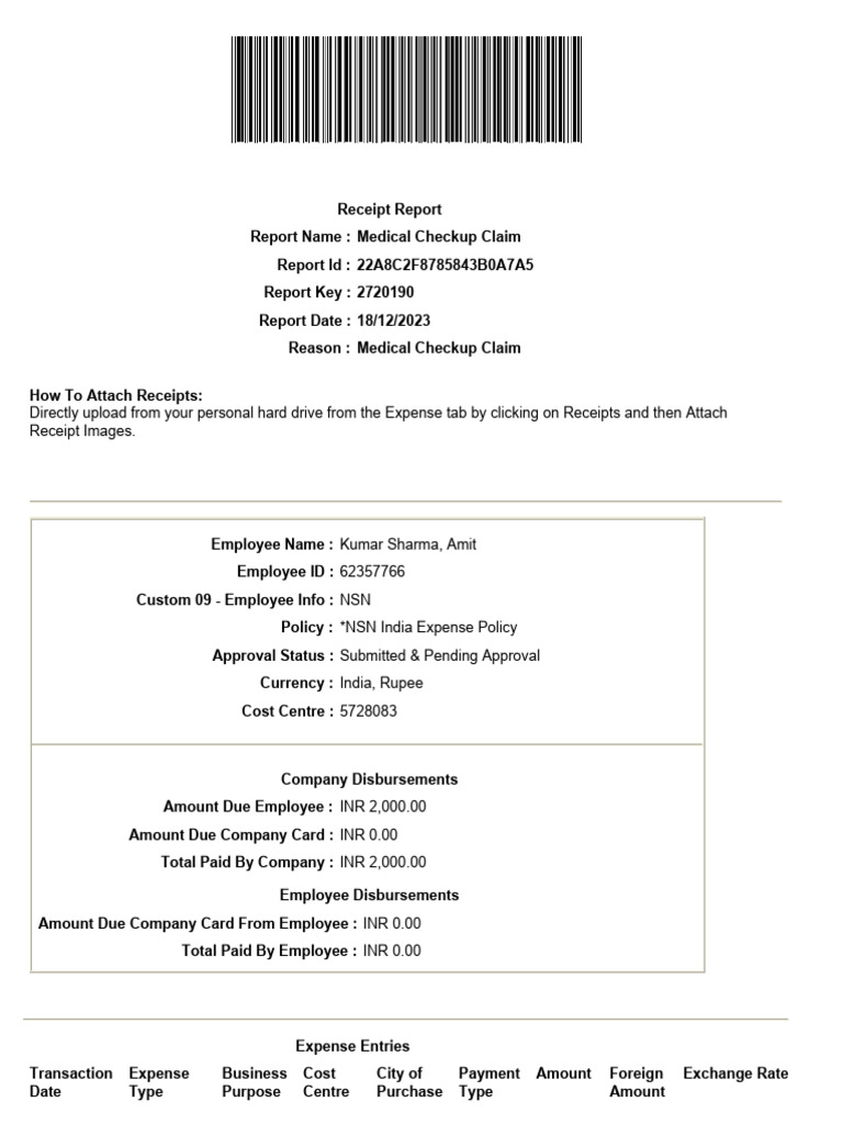 Medical Claim Submission PDF Receipt Health Care