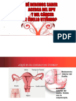 Que Hay Que Saber Del HPV y El Cancer de Cuello Uterino