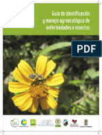 Guía de Identificación y Manejo Agroecológico de Enfermedades e Insectos