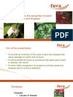 Guide To The Detection of PD Diseases