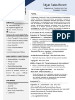 Resumen Curricular de Edgar Salas B. 2024 PDF